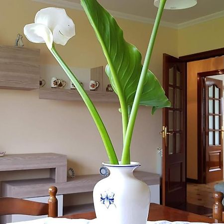 Apartamento A Pampillosa Fazouro ภายนอก รูปภาพ