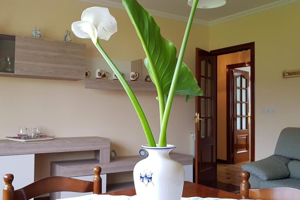 Apartamento A Pampillosa Fazouro ภายนอก รูปภาพ